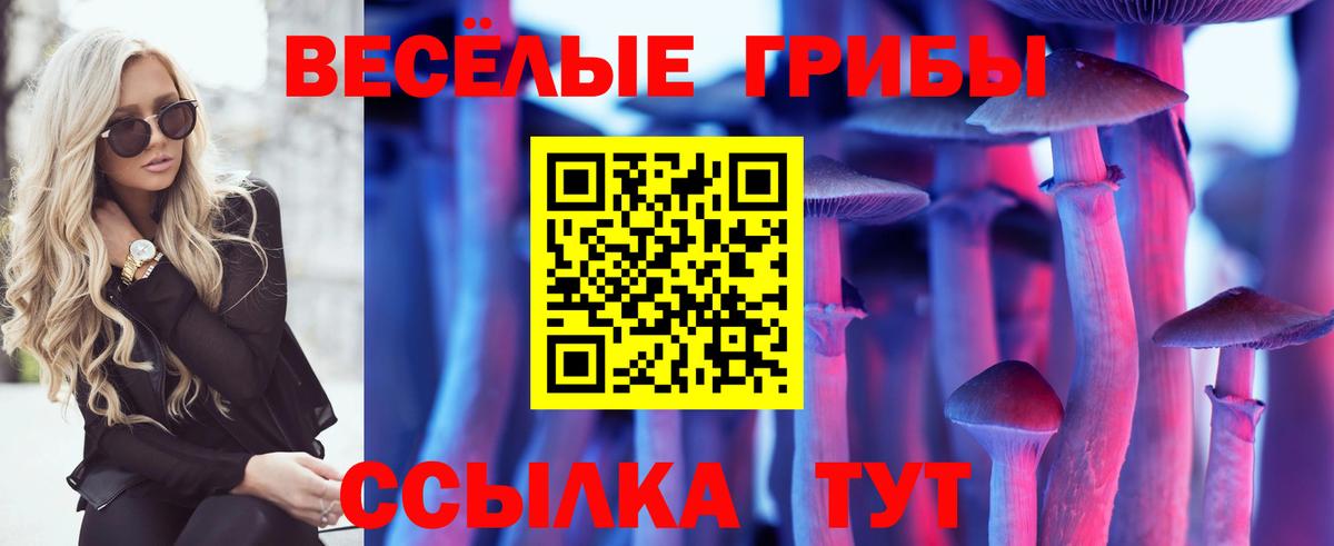 Аргун  Псилоцибиновые грибы ЛСД  Вход с VPN 